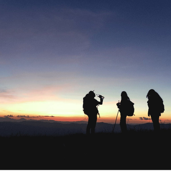 Find my Activities Only. - Luv2travelco